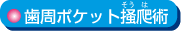 �����|�P�b�g�~এp