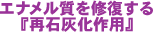 �G�i���������C������w�ĐΊD����p�x