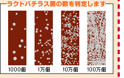 ���N�g�o�`���X�ۂ̐��𔻒肵�܂�