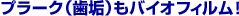 �v���[�N�i���C�j���o�C�I�t�B����
