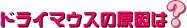 �h���C�}�E�X�̌����́H