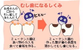 �ނ����ɂȂ邵����