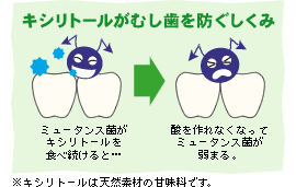 �L�V���g�[�����ނ�����h��������
