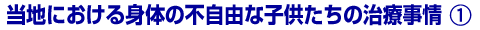 ���n�ɂ�����g�̂̕s���R�Ȏq�������̎��Î���i1�j