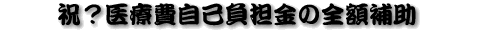 �j�H��Ô�ȕ��S���̑S�z�⏕