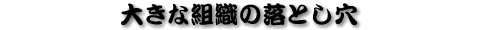 �傫�ȑg�D�̗��Ƃ���