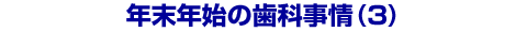 �N���N�n�̎��Ȏ���i3�j